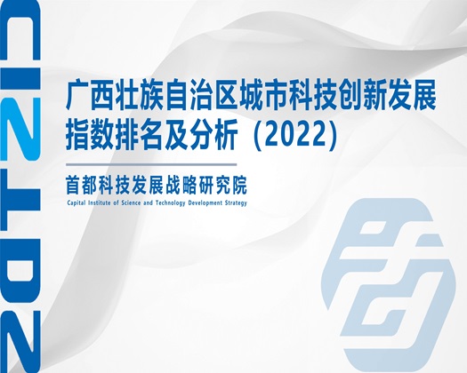 护士免费日批50分钟【成果发布】广西壮族自治区城市科技创新发展指数排名及分析（2022）